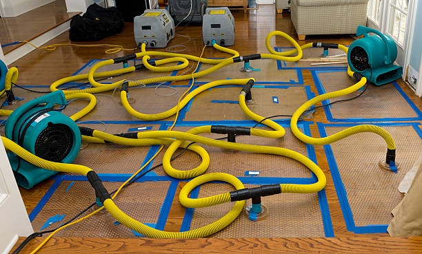 Professional Burst Pipe Water Damage technician working in Dimondale, MI